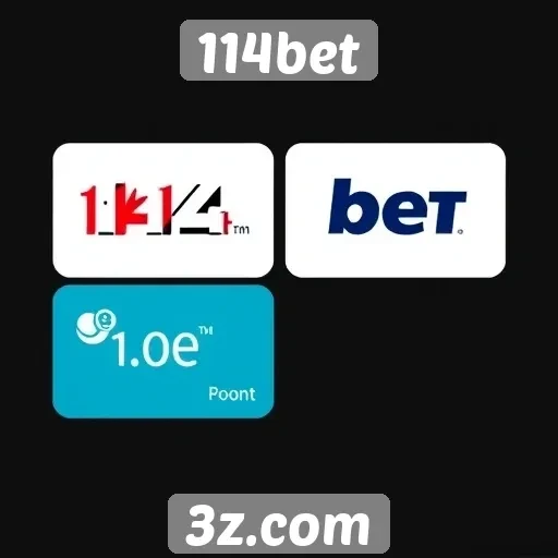 Métodos de pagamento aceitos no 114bet